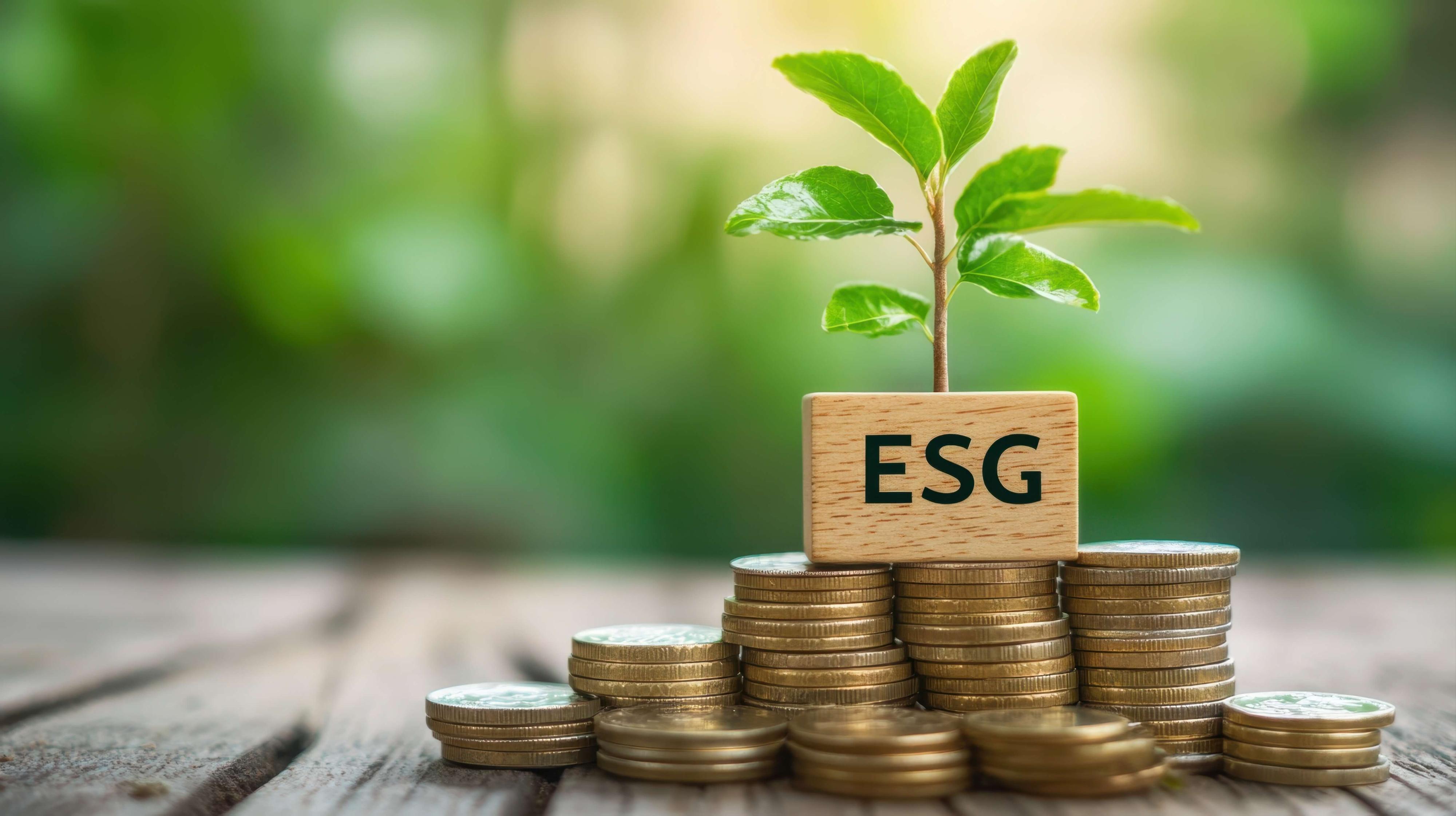 AdobeStock_1319491781-web