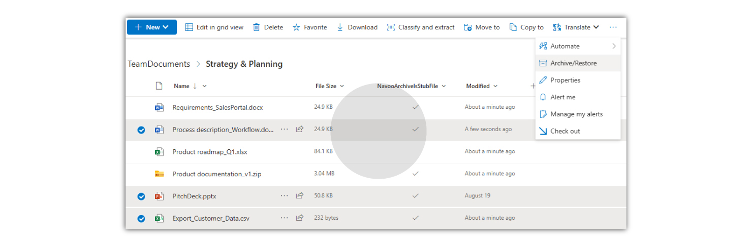 NAVOO_Smart-Archive_SharePoint structures